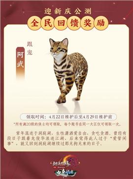 神迹天龙八部私服